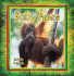 Baby Apes