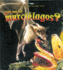 Que Son los Murcielagos?