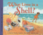What Lives in a Shell?