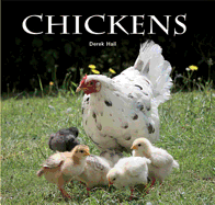 Chickens (Flexi Cover Series)