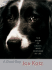 A Good Dog: The Story of Orson, Who Changed My Life