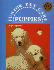 Puppies (Junior Pet Care)