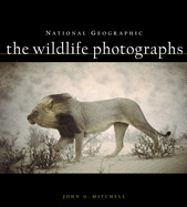The Wildlife Photographs