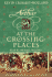 At the Crossing Places: The Arthur Trilogy, Book Two