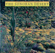 The Sonoran Desert