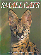 Small Cats