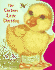 The Curious Little Duckling