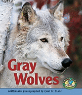 Gray Wolves