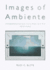 Images of Ambiente: Homotextuality and Latino/A American Art, 1810 Today