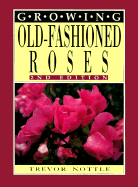 Growing Old-Fashioned Roses