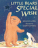 Little Bear's Special Wish