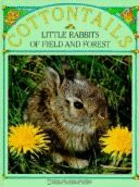 Cottontails: Little Rabbits of Field and Forest
