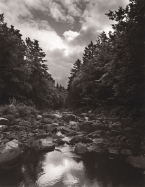 To Save a River: Documenting the Natural History, Restoration and Preservation of the Ducktrap River