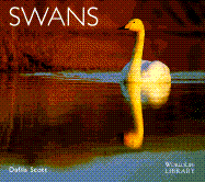 Swans
