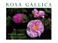Rosa Gallica