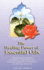 The Healing Power of Essential Oils [Paperback] By Balz, Rodolphe