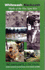 Whitewash, Blackwash: Myths of the Viet Nam War