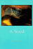 A Seed: Aphorisms