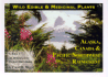 Wild Edible & Medicinal Plants: Alaska, Canada & Pacific Northwest Rainforest