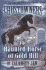 The Haunted Horse of Gold Hill