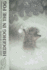 Hedgehog in the Fog