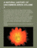 A Natural History of Uncommon Birds Volume 3; And of Some Other Rare and Undescribed Animals, Quadrupeds, Fishes, Reptiles, Insects, &C., Exhibited in Two Hundred and Ten Copper-Plates, from Designs Copied Immediately from Nature, and Curiously Coloured a