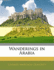 Wanderings in Arabia
