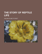 The Story of Reptile Life