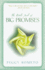 The Little Book of Big Promises