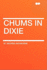 Chums in Dixie Or the Strange Cruise of a Motorboat