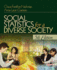 Social Statistics for a Diverse Society
