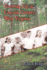 Growing Up in Lincoln County, West Virginia