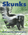 Skunks