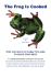 The Frog Is Cooked