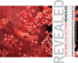 The Web Collection, Standard Edition Revealed: Adobe Dreamweaver CS3, Flash CS3, and Fireworks CS3