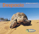 Despacio