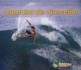Cambiar de Direccion