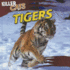 Tigers