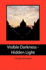 Visible Darkness - Hidden Light