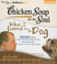 Chicken Soup for the Soul: What I Learned from the Dog - 34 Stories about Overcoming Adversity, Healing, and How to Say Goodbye