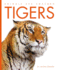 Tigers