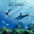 Iguana Tales - Galapagos: Sea Story