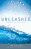 Unleashed: Tapping Into the Divine Flow