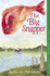The Big Snapper