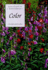 Color: Letts Guides to Garden Design
