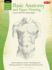 Basic Anatomy and Figure Drawing