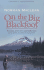 On the Big Blackfoot