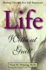 Life Without Guilt: Healing Through Past Life Regression
