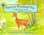 Fawn at Woodland Way