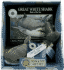 Great White Shark: Ruler of the Sea
